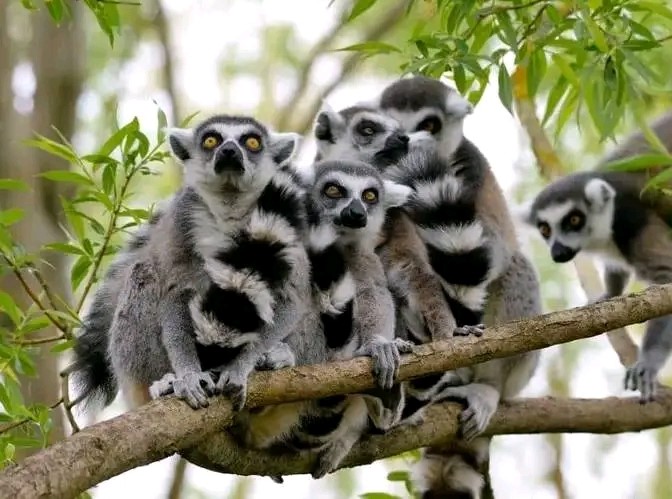 Aktywności podczas wycieczki po wyspie